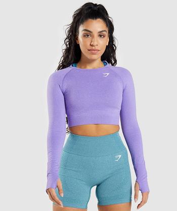 Przycięte Topy Damskie Gymshark Vital Seamless 2.0 Long Sleeve Głęboka Fioletowe | PL 2606XYU